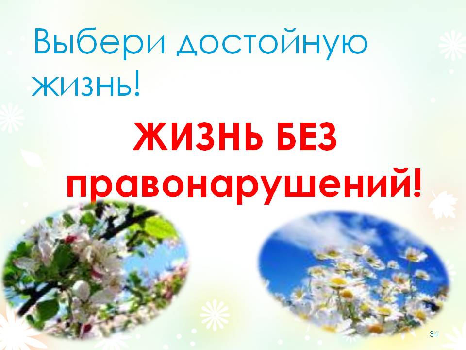 Профилактика правонарушений.