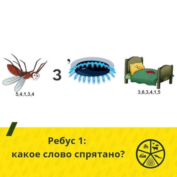 Школа организует конкурс между учениками 5-7 классов.